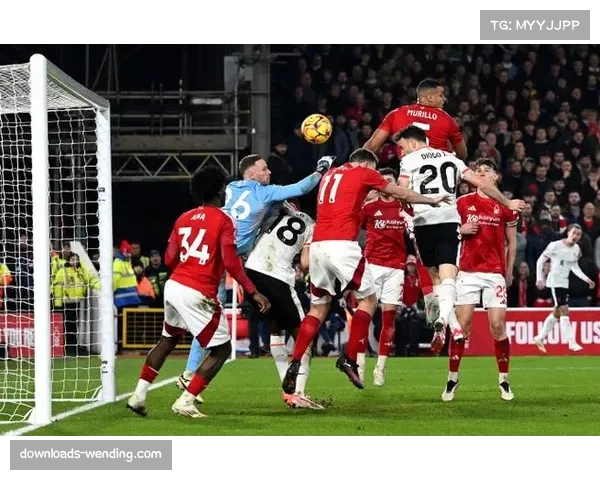 诺丁汉森林惜败利物浦 保级形势依然严峻锋无力待解 诺丁汉森林惜败利物浦 保级形势依然严峻锋无力待解